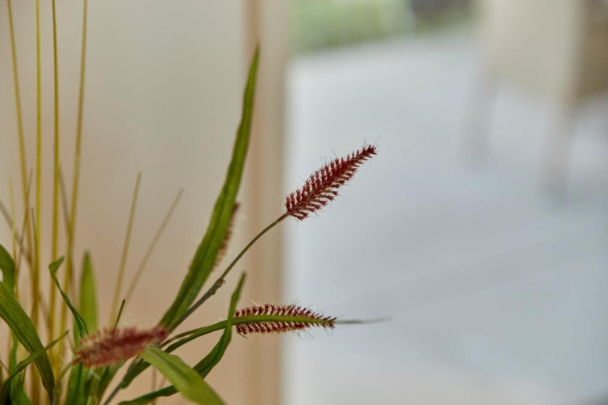 Moseltraum Apartment แบร์นคาสเทล-คืสท์ ภายนอก รูปภาพ
